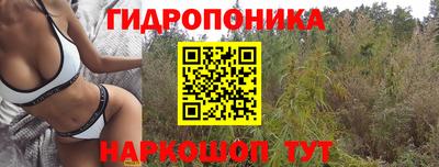таблы Гай