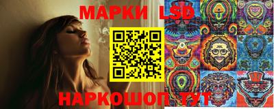 ГАЛЛЮЦИНОГЕННЫЕ ГРИБЫ Гатчина