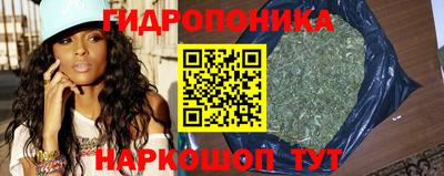 ГАЛЛЮЦИНОГЕННЫЕ ГРИБЫ Гатчина