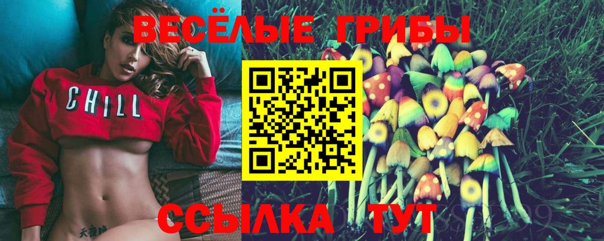 Псилоцибиновые грибы MAGIC MUSHROOMS  Вход с VPN  Назарово  Псилоцибиновые грибы Cubensis 