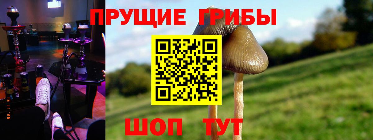 Псилоцибиновые грибы мицелий Назарово